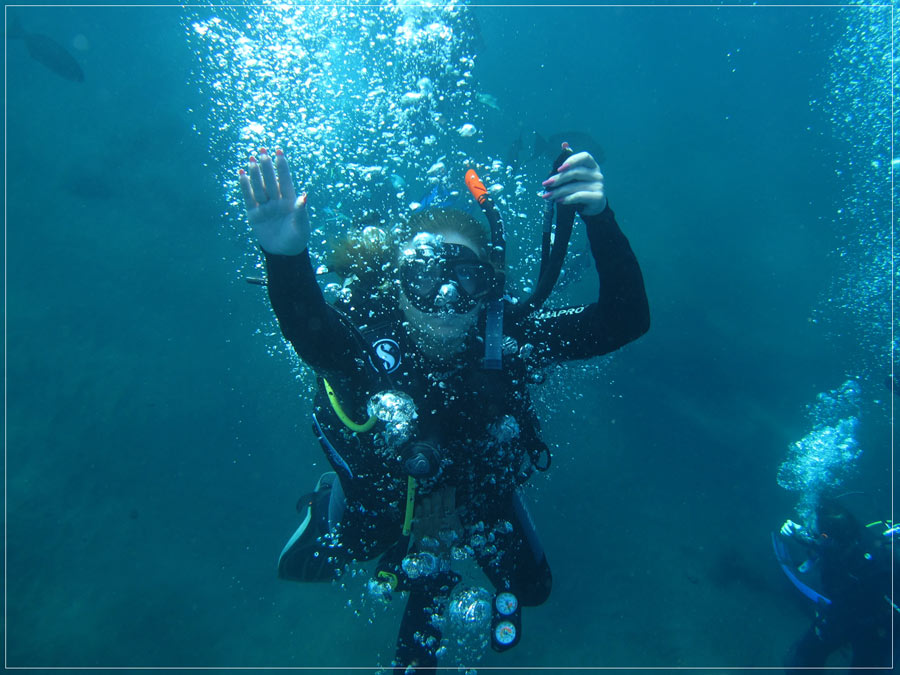 Дайвинг это жизнь. Дайвинг сафари. Diver u.k. fins.